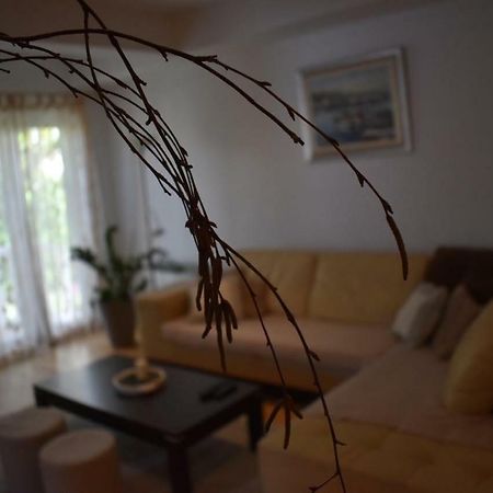 קורצולה Fantasy Apartment מראה חיצוני תמונה